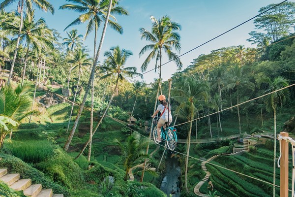 In Bali- Rice Terraces, Waterfall & Monkey Forest Tour