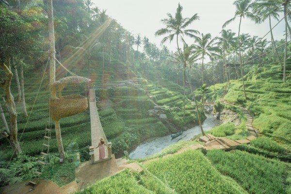 In Bali - Extreme Swing by Alas Harum